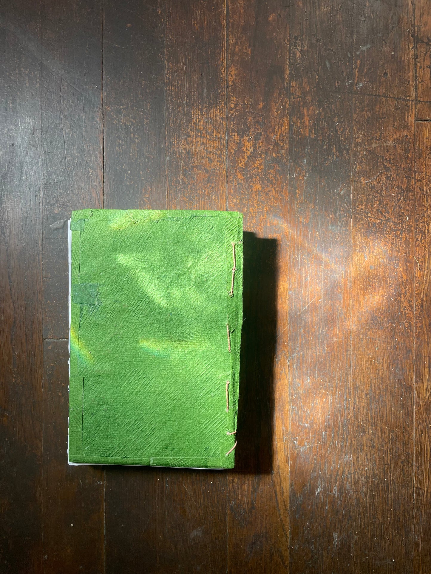 GREEN HUUN HARDCOVER Notebook with HAND-DRAWN & WATERCOLOR LARVAE with PEBBLE MINERAL CASINGS ABOVE & BELOW