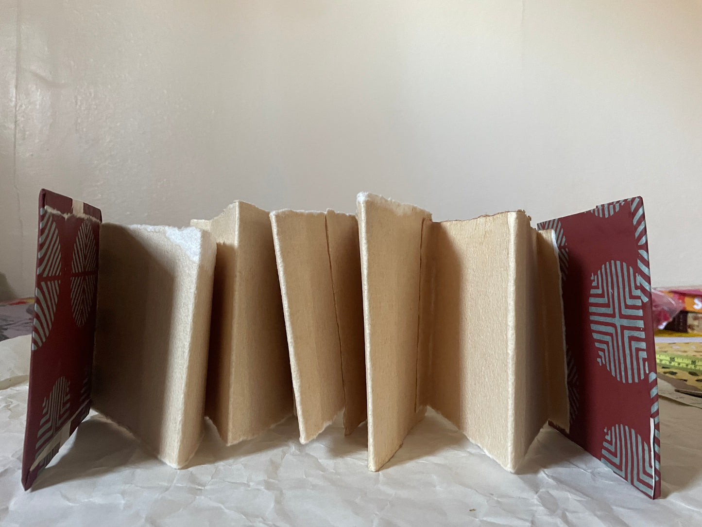 Handmade Accordion Codex Journal Architecture of the Seashell with Free Will
