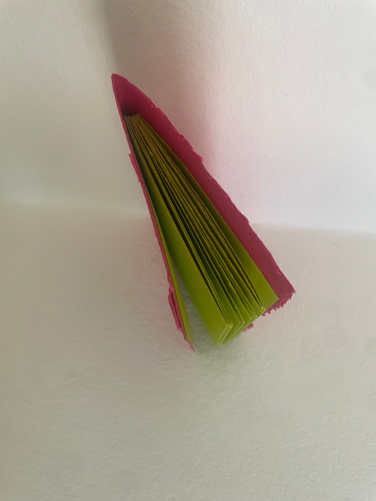 TRANSITIONS | Set of 2 Handmade Codex Notebooks