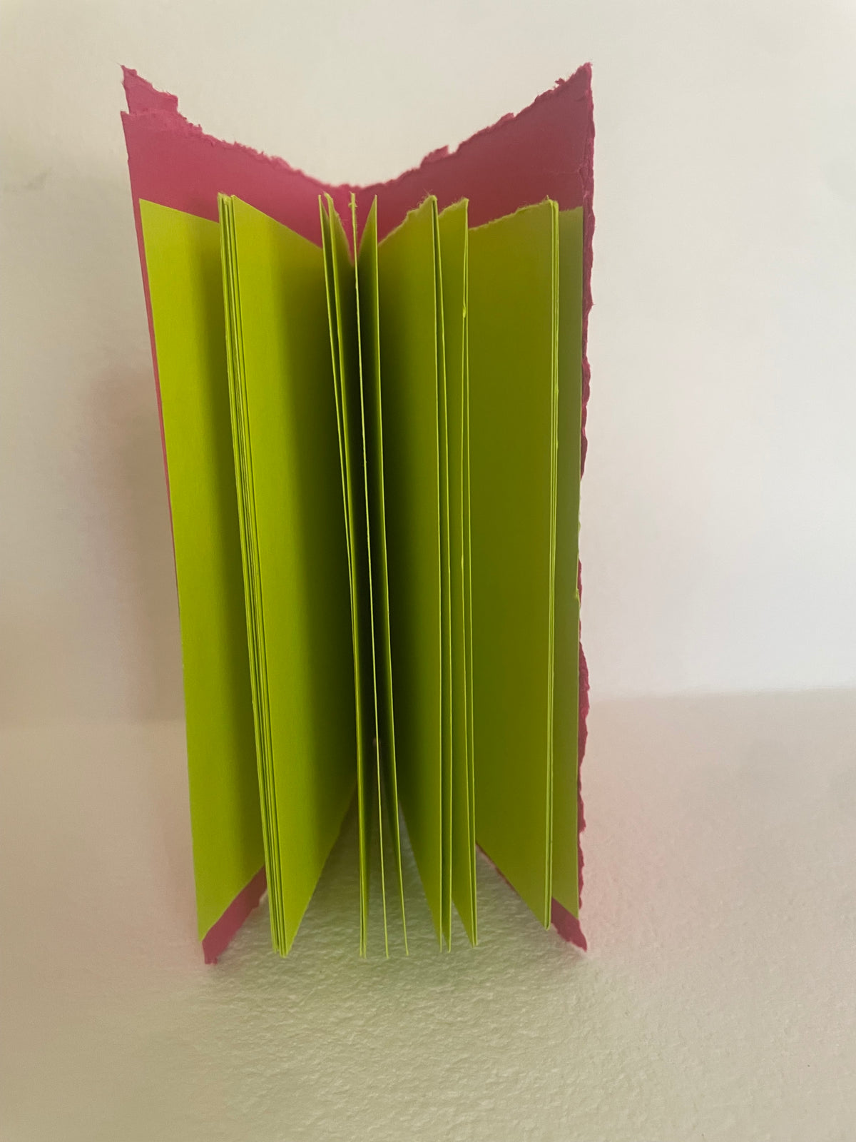TRANSITIONS | Set of 2 Handmade Codex Notebooks