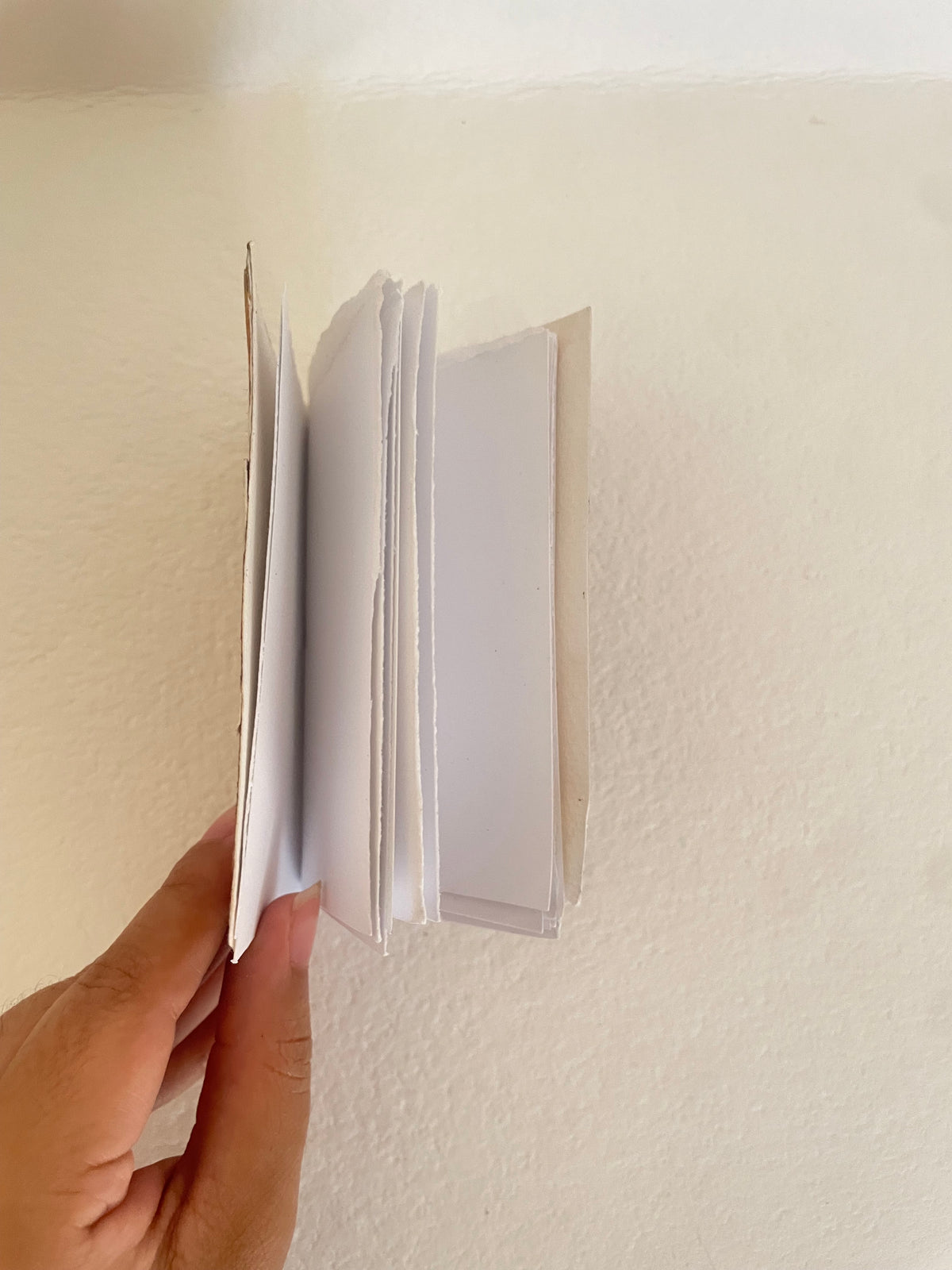 Handmade Natural Pigment Codex Notebook