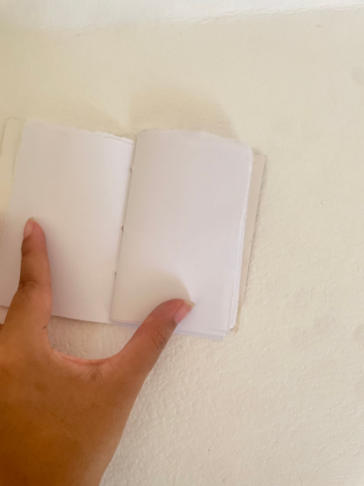 Handmade Natural Pigment Codex Notebook