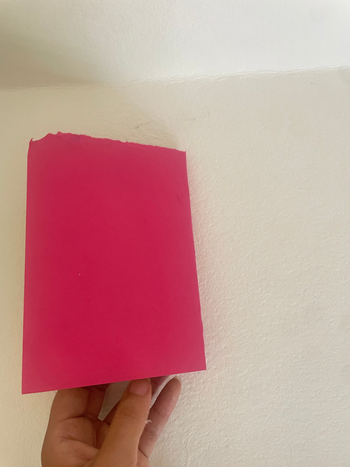 TRANSITIONS | Set of 2 Handmade Codex Notebooks