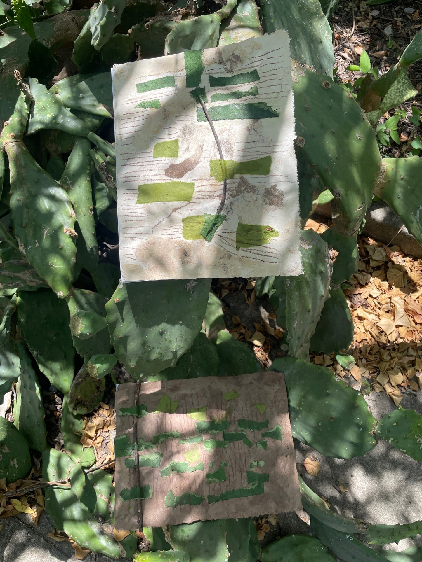 Los Nopales y Las Tunas
Limited Edition Handmade Artist Book | Book Art