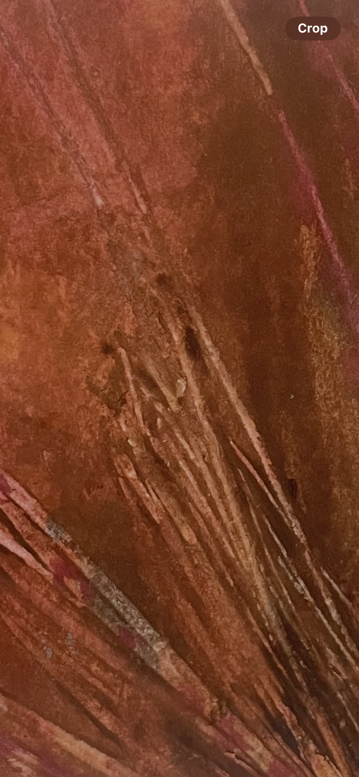 Handmade Natural Pigment Codex Notebook