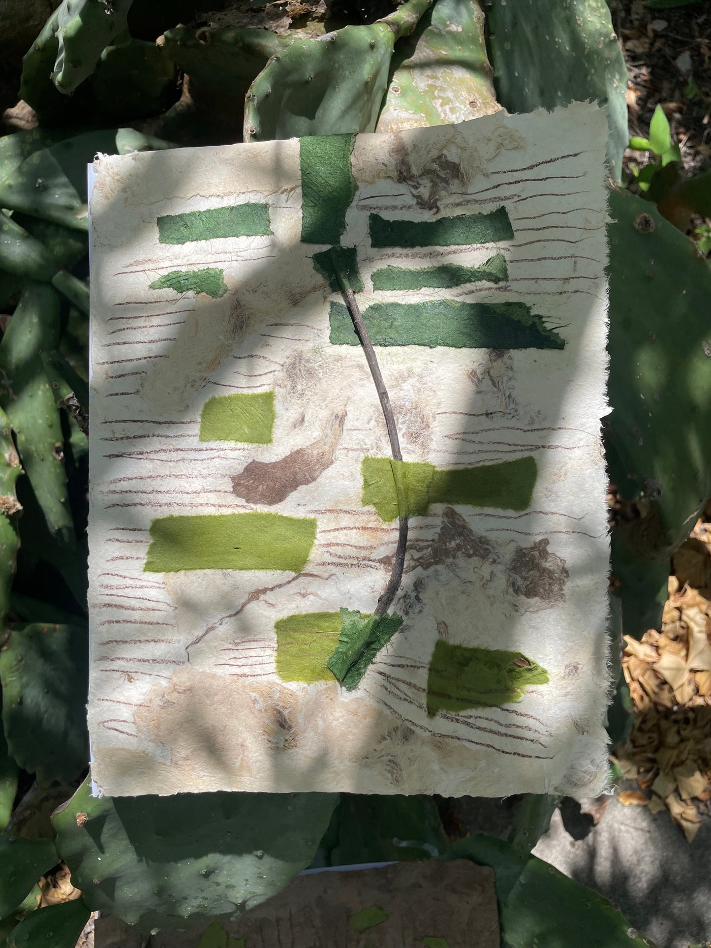 Los Nopales y Las Tunas
Limited Edition Handmade Artist Book | Book Art