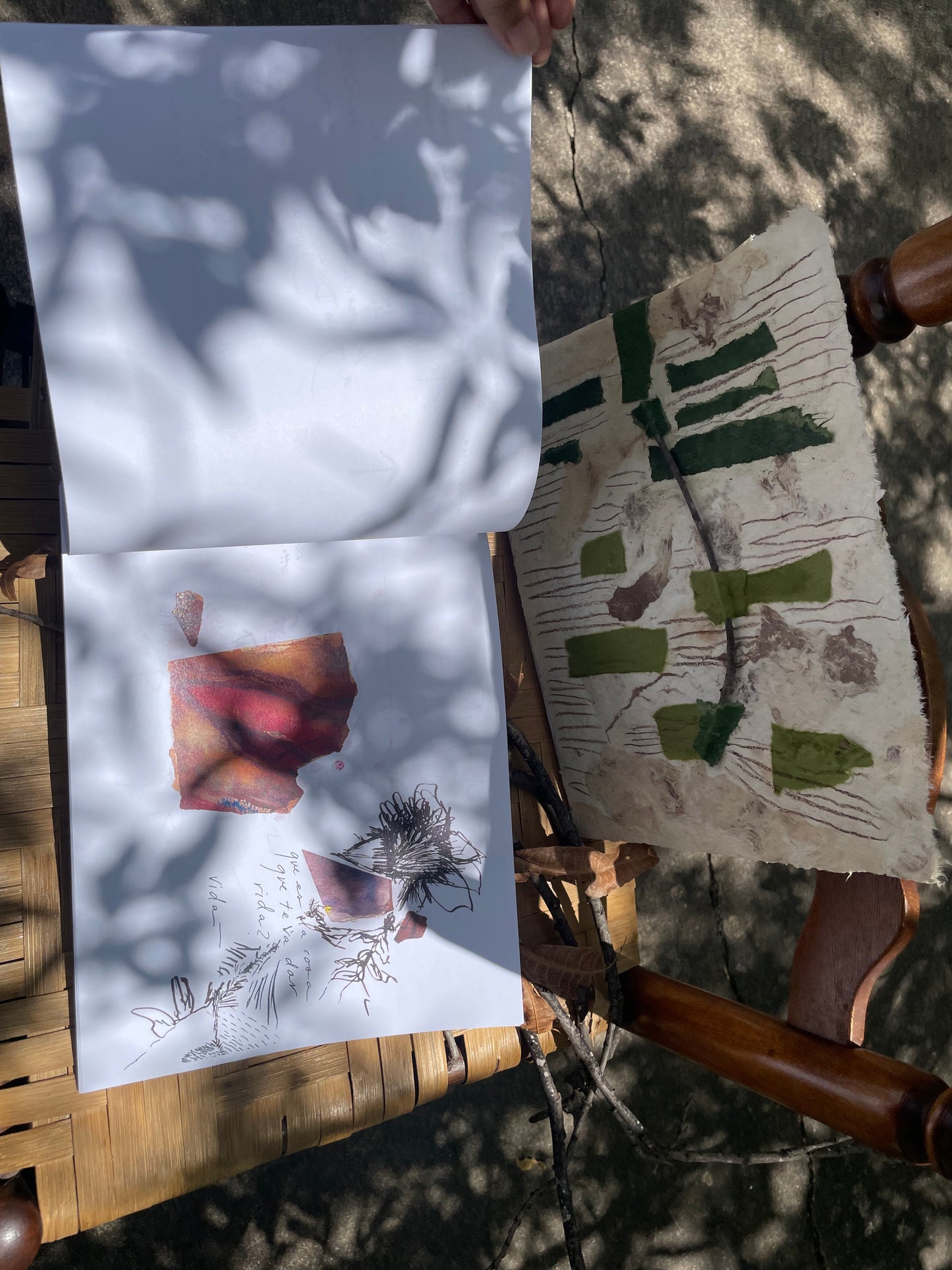 Los Nopales y Las Tunas
Limited Edition Handmade Artist Book | Book Art
