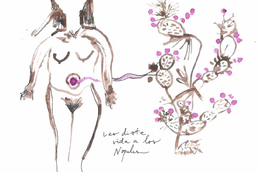 Los Nopales y Las Tunas
Limited Edition Handmade Artist Book | Book Art