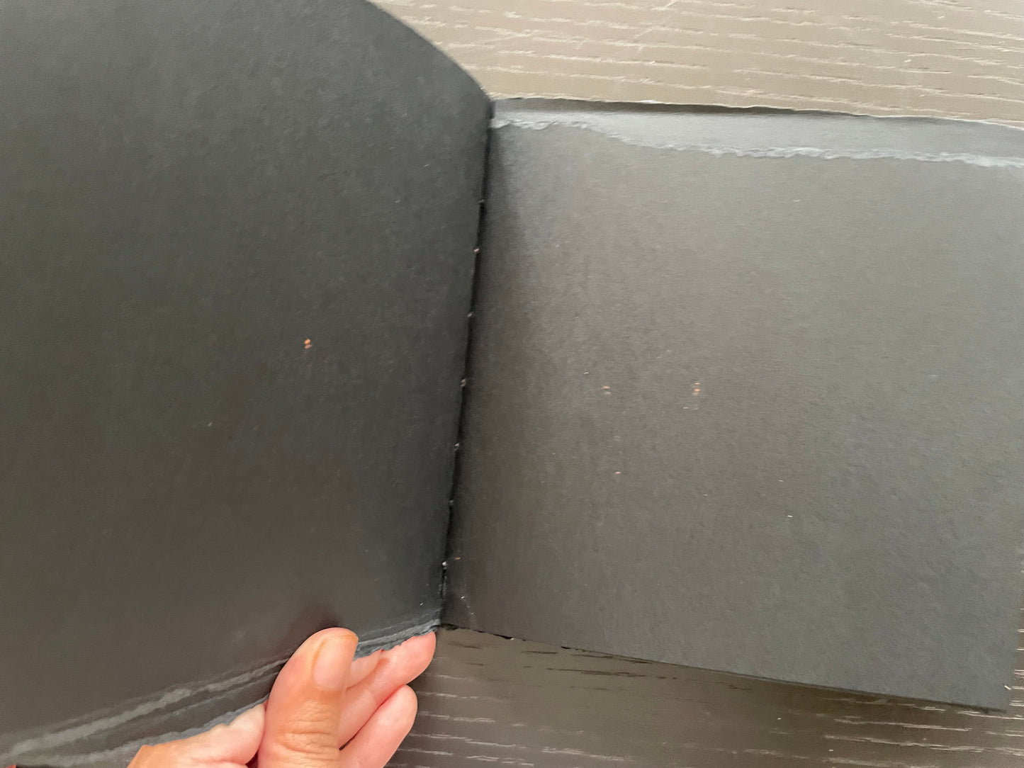 BLACK CODEX JOURNAL with HAND-DRAWN & WATERCOLOR PAINTED CADDIS