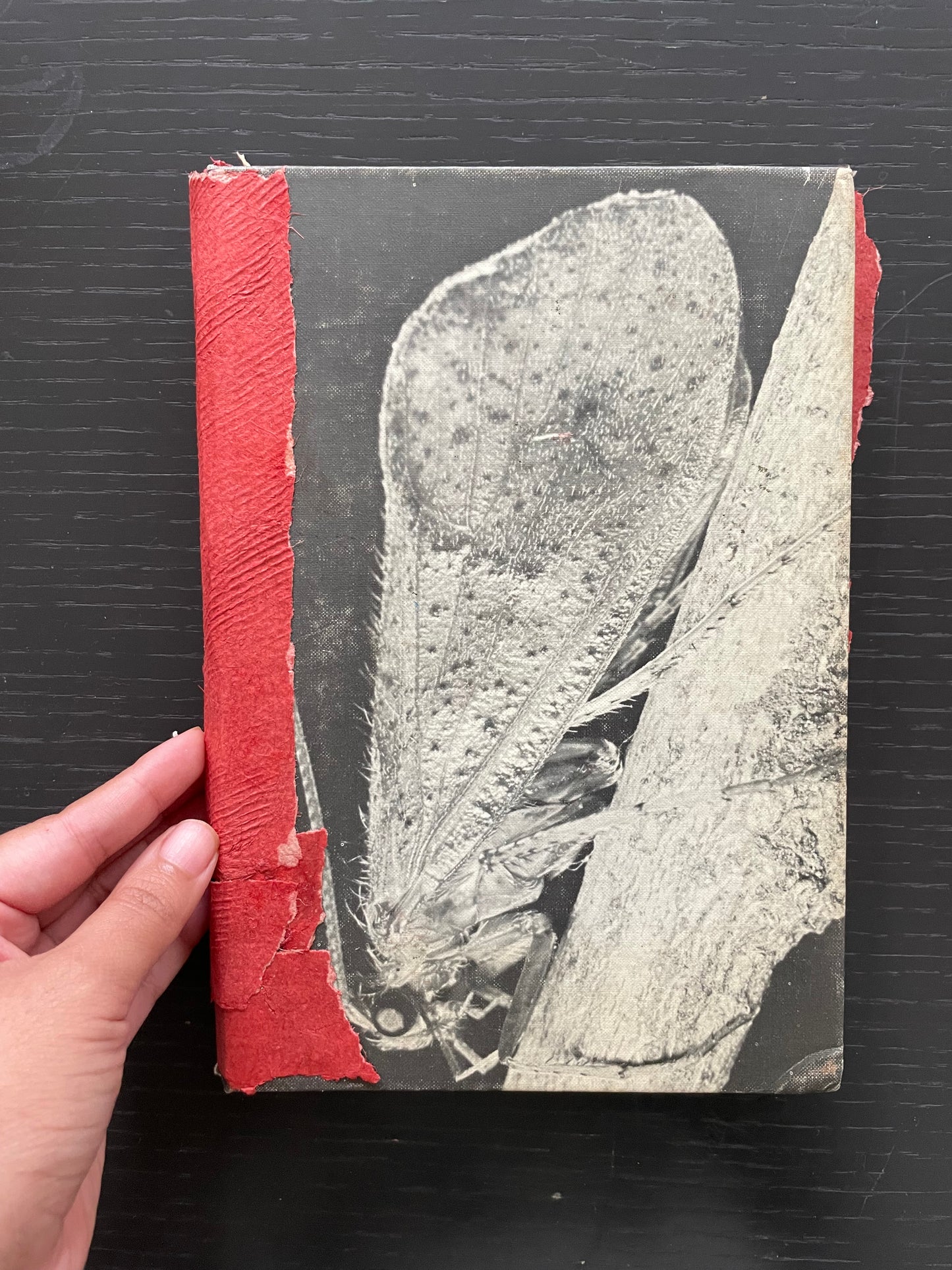 CADDIS HARDCOVER Journal & RED HUUN PAPER with HUNGARIAN COTTON, STONE DRAWING PAPER & RECYCLED COTTON PAPER