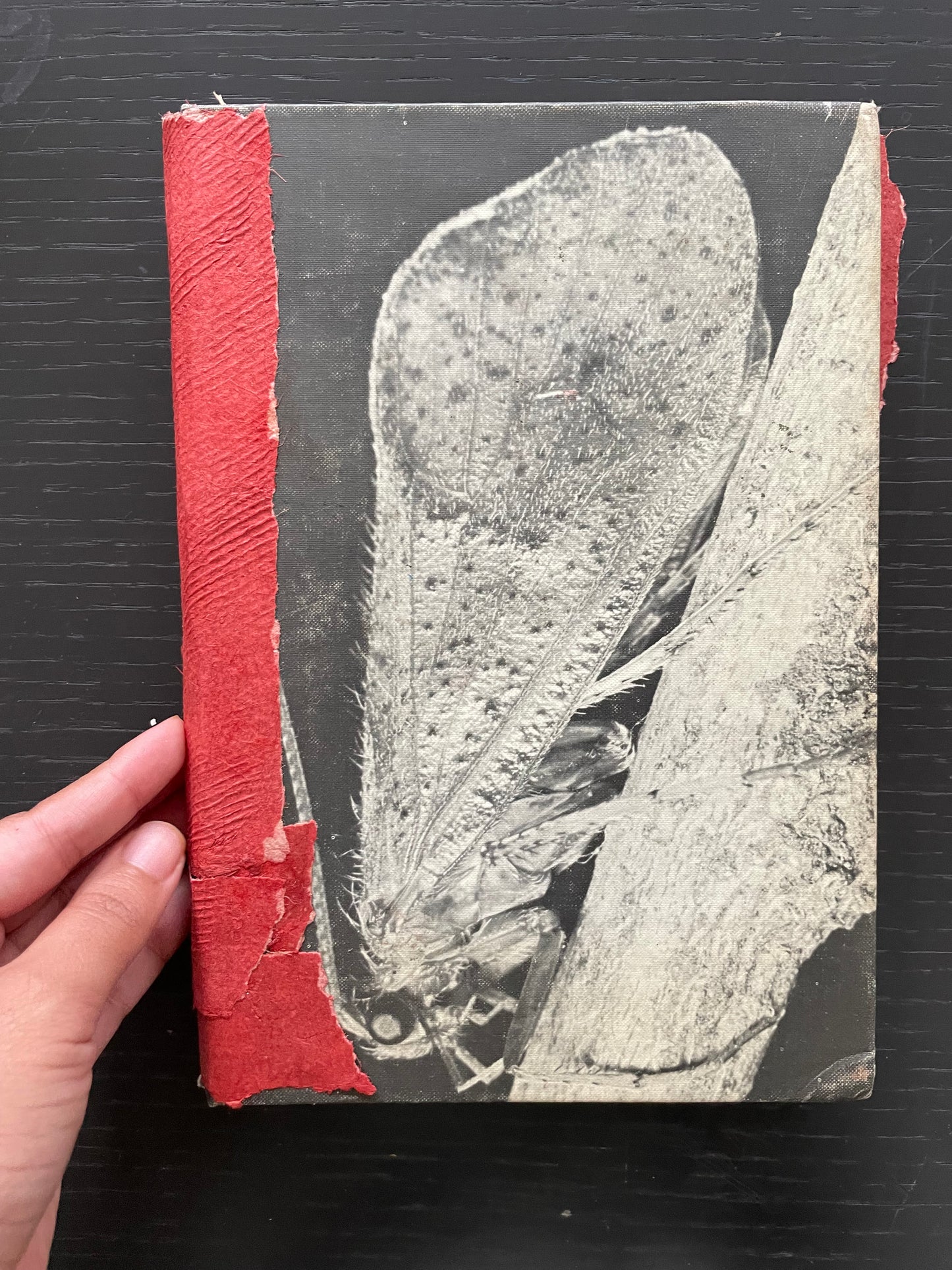 CADDIS HARDCOVER Journal & RED HUUN PAPER with HUNGARIAN COTTON, STONE DRAWING PAPER & RECYCLED COTTON PAPER