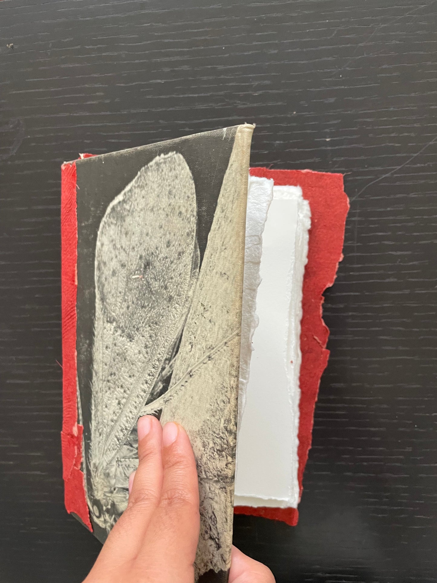 CADDIS HARDCOVER Journal & RED HUUN PAPER with HUNGARIAN COTTON, STONE DRAWING PAPER & RECYCLED COTTON PAPER