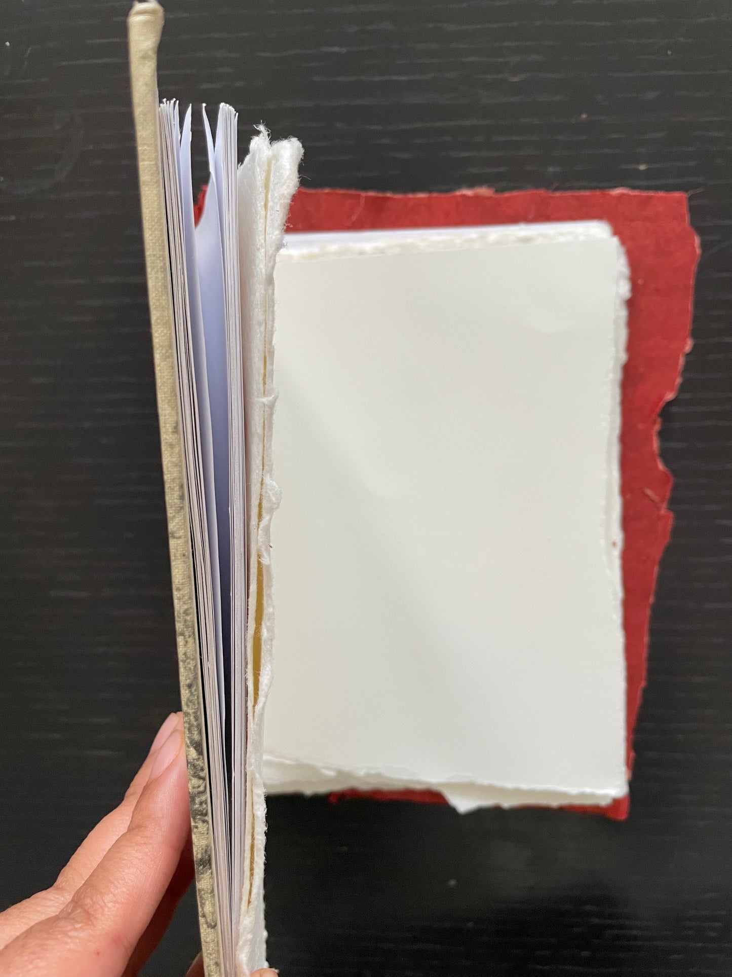 CADDIS HARDCOVER Journal & RED HUUN PAPER with HUNGARIAN COTTON, STONE DRAWING PAPER & RECYCLED COTTON PAPER
