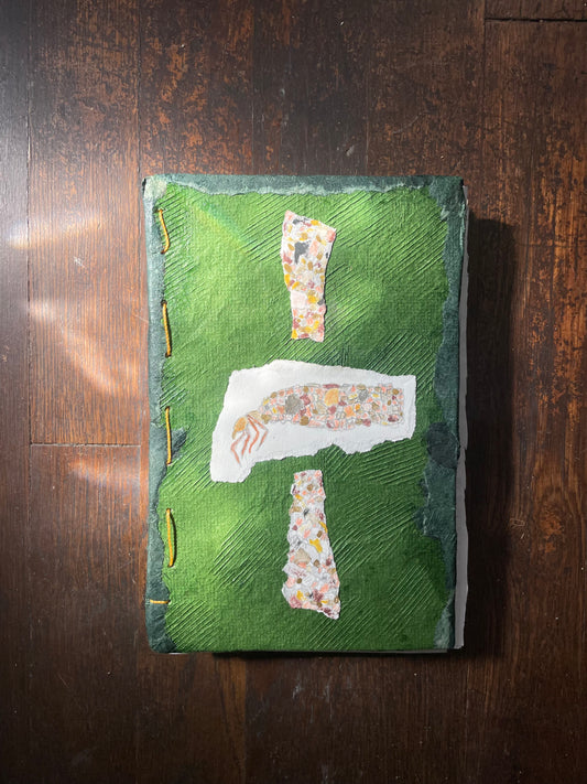 GREEN HUUN HARDCOVER Notebook with HAND-DRAWN & WATERCOLOR LARVAE with PEBBLE MINERAL CASINGS ABOVE & BELOW