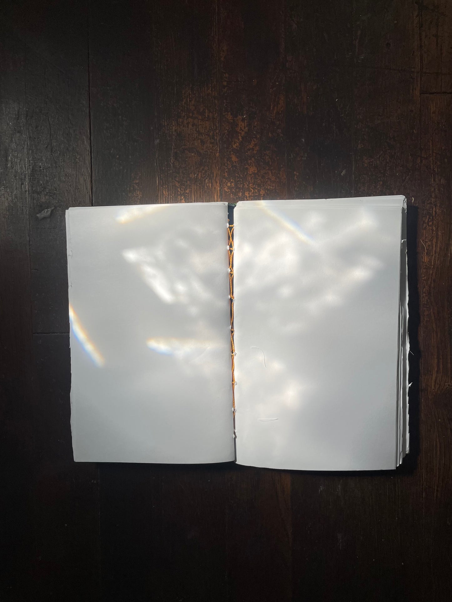 GREEN HUUN HARDCOVER Notebook with HAND-DRAWN & WATERCOLOR LARVAE with PEBBLE MINERAL CASINGS ABOVE & BELOW