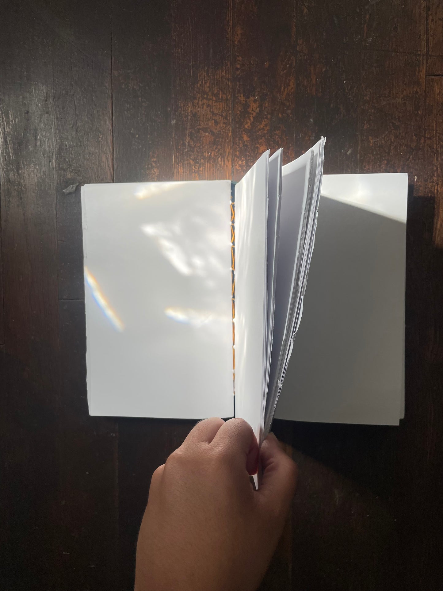 GREEN HUUN HARDCOVER Notebook with HAND-DRAWN & WATERCOLOR LARVAE with PEBBLE MINERAL CASINGS ABOVE & BELOW