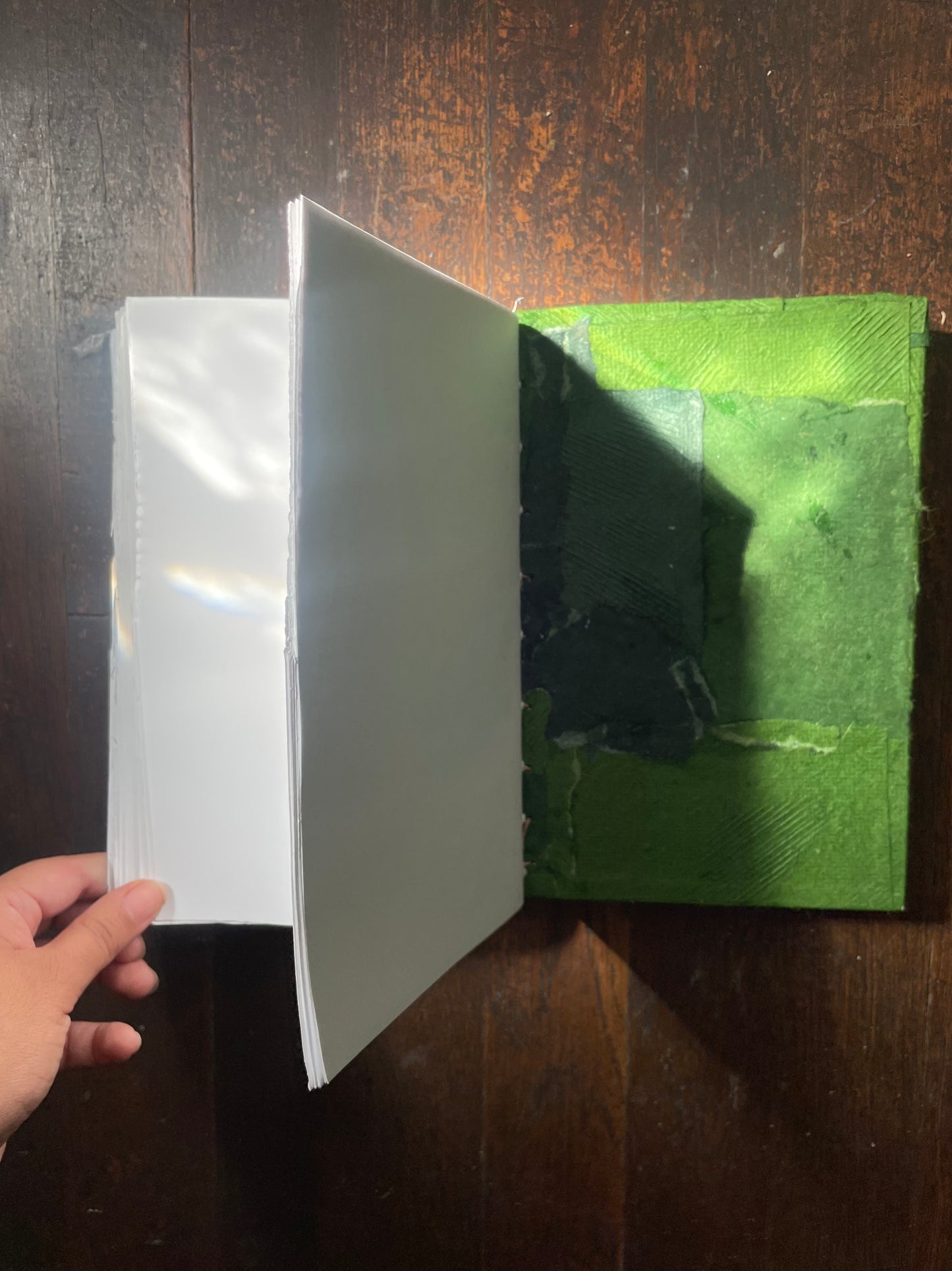 GREEN HUUN HARDCOVER Notebook with HAND-DRAWN & WATERCOLOR LARVAE with PEBBLE MINERAL CASINGS ABOVE & BELOW