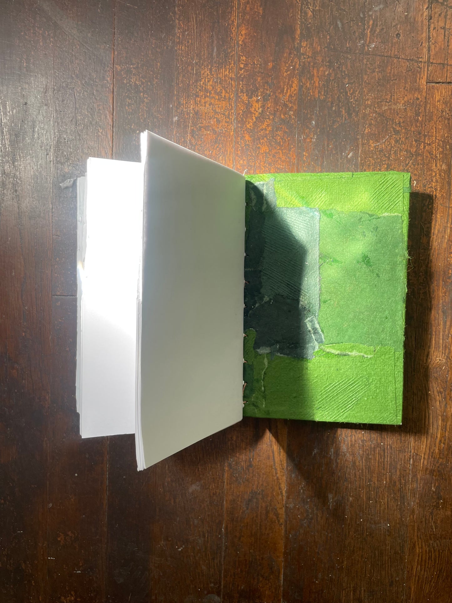 GREEN HUUN HARDCOVER Notebook with HAND-DRAWN & WATERCOLOR LARVAE with PEBBLE MINERAL CASINGS ABOVE & BELOW
