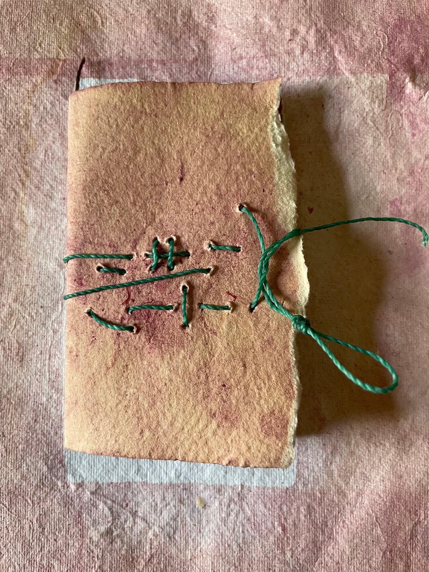 Handmade Botanically Dyed  Set of Mini Codex Journals