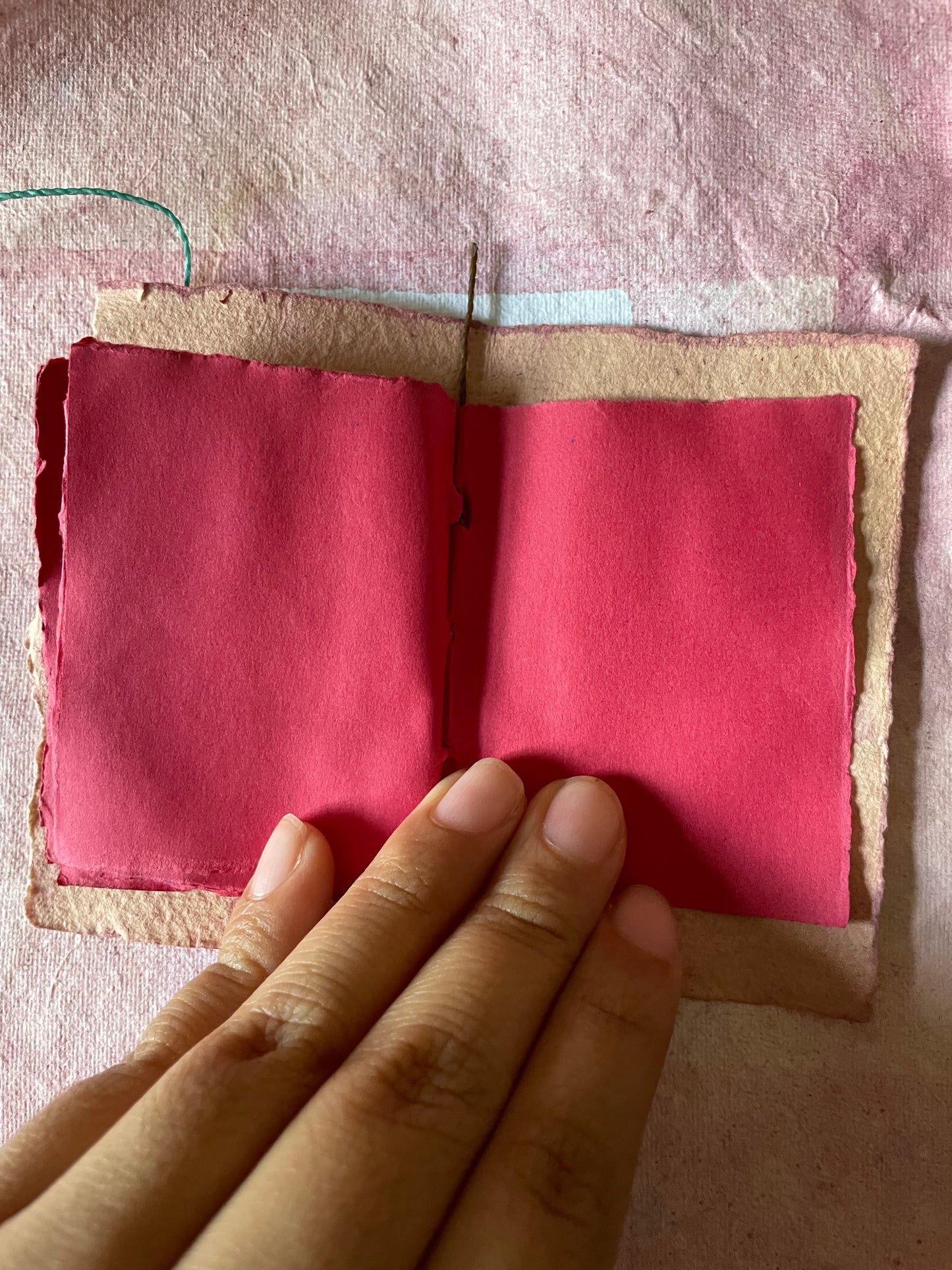 Handmade Botanically Dyed  Set of Mini Codex Journals