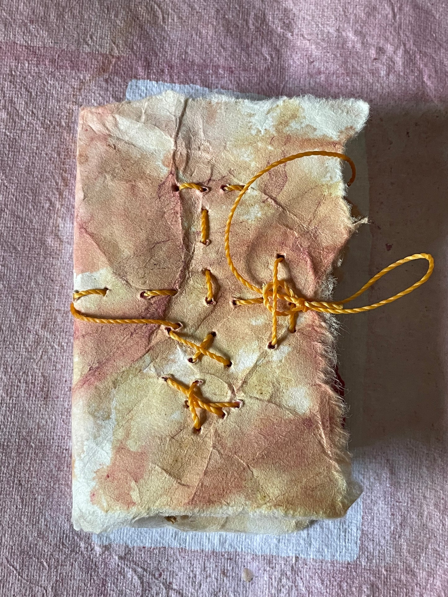 Handmade Botanically Dyed  Set of Mini Codex Journals