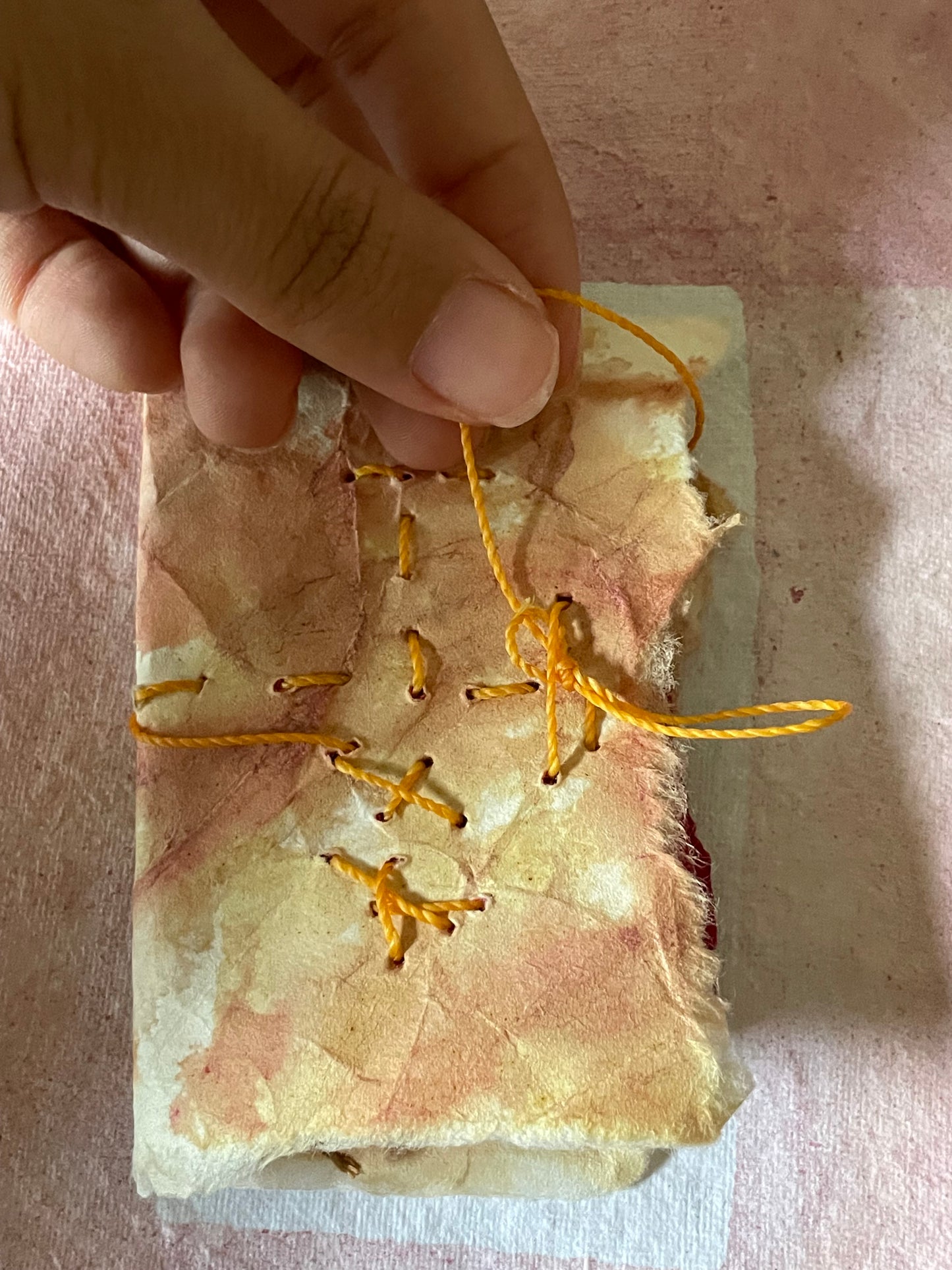 Handmade Botanically Dyed  Set of Mini Codex Journals