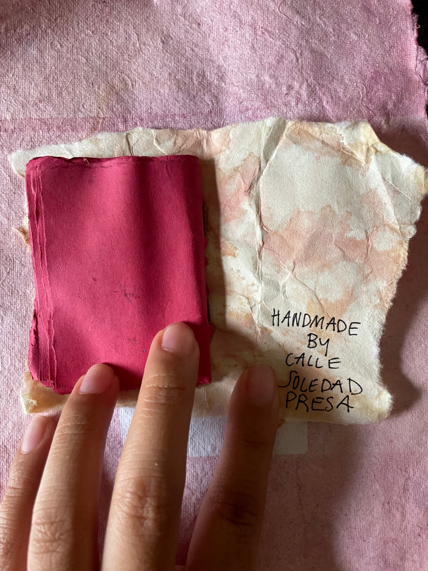Handmade Botanically Dyed  Set of Mini Codex Journals