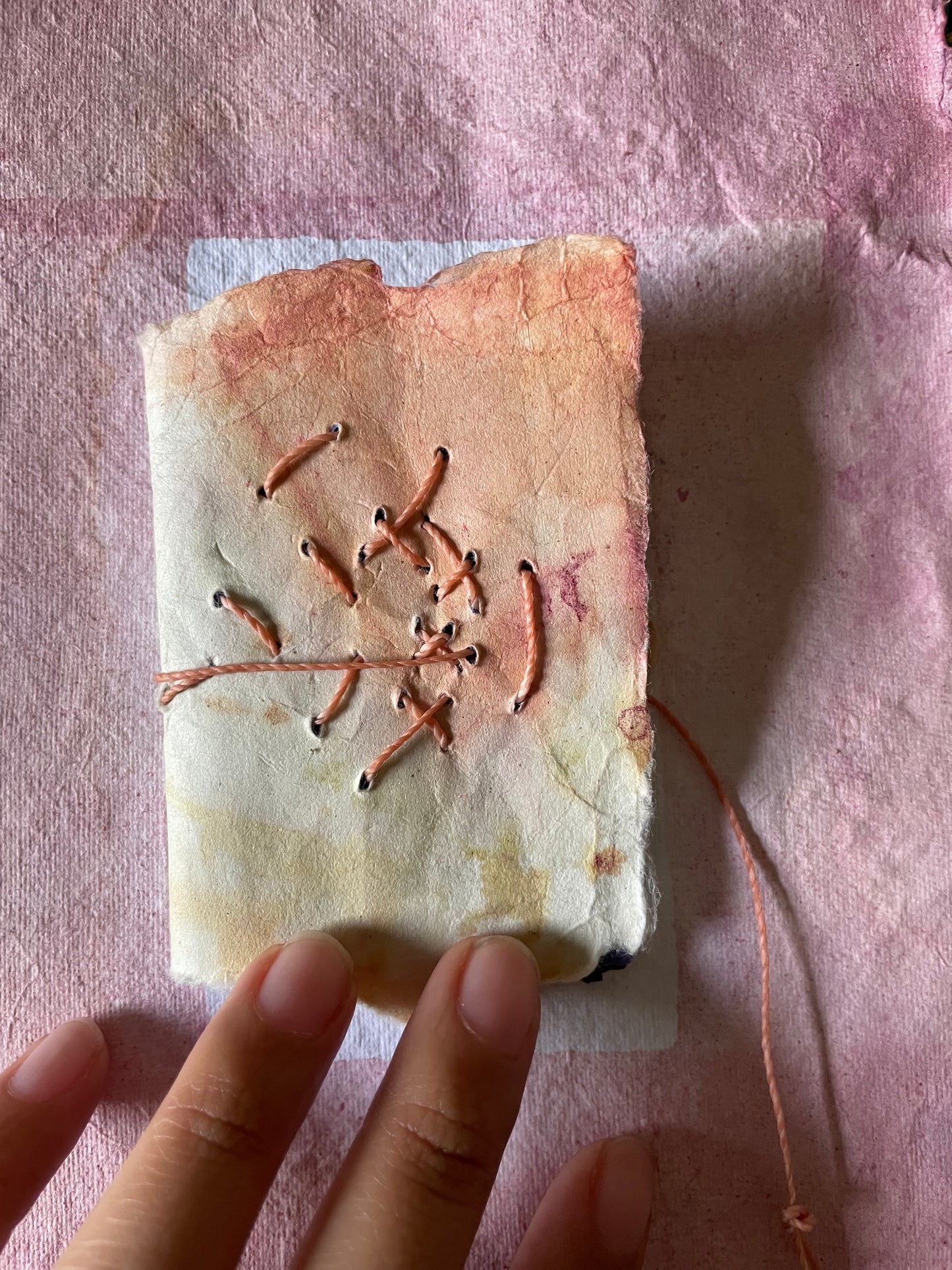 Handmade Botanically Dyed  Set of Mini Codex Journals