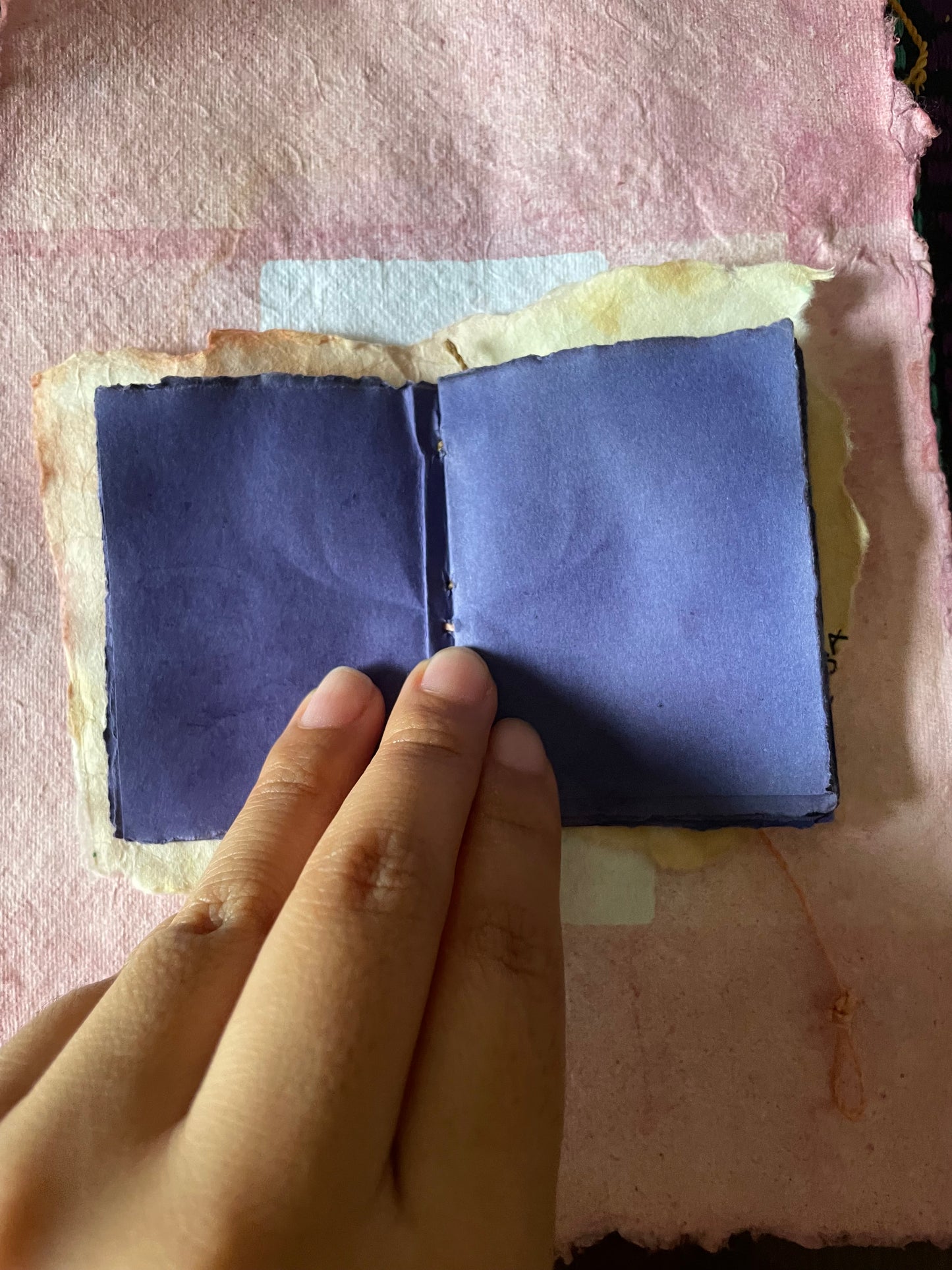 Handmade Botanically Dyed  Set of Mini Codex Journals