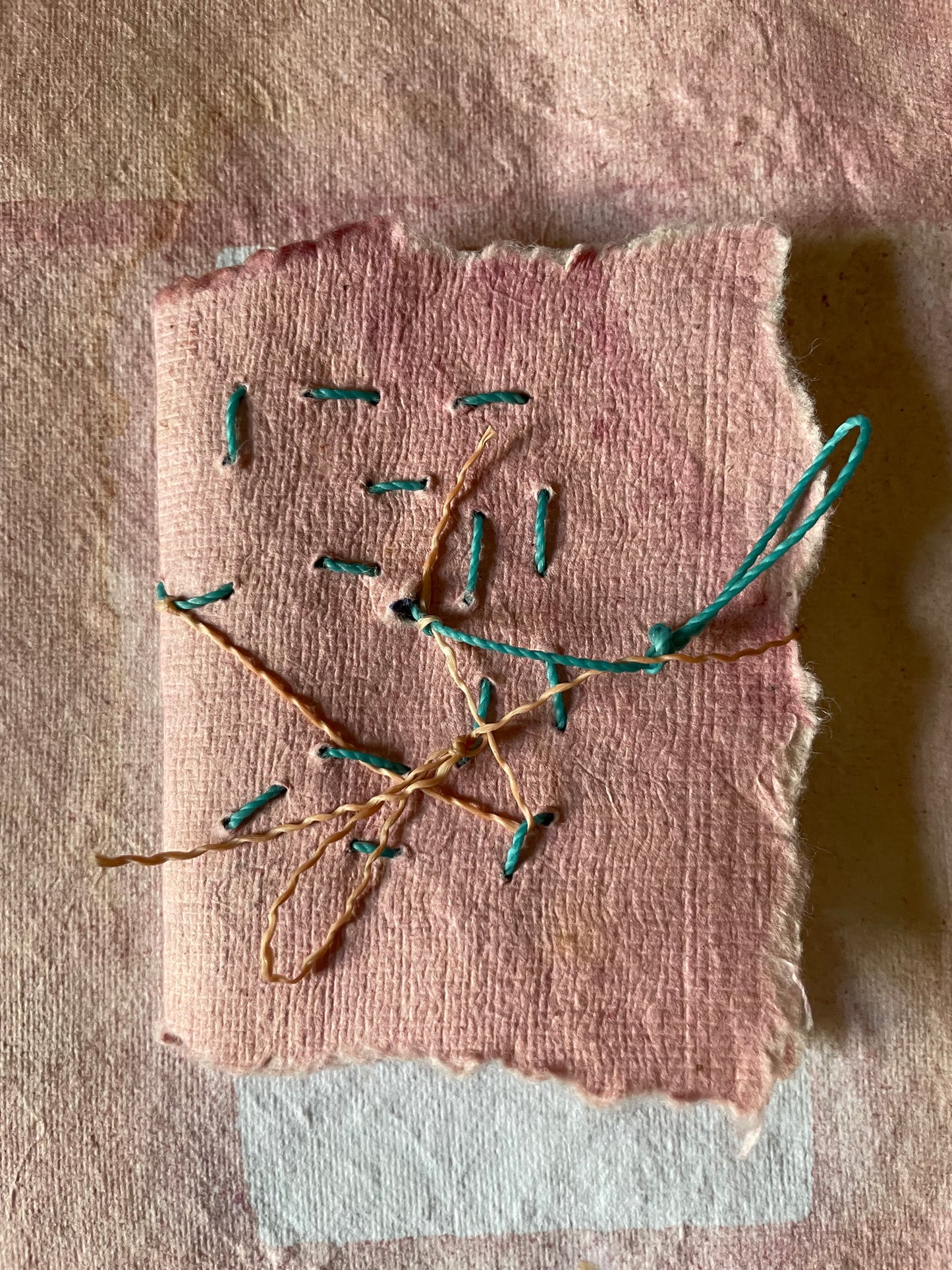 Handmade Botanically Dyed  Set of Mini Codex Journals