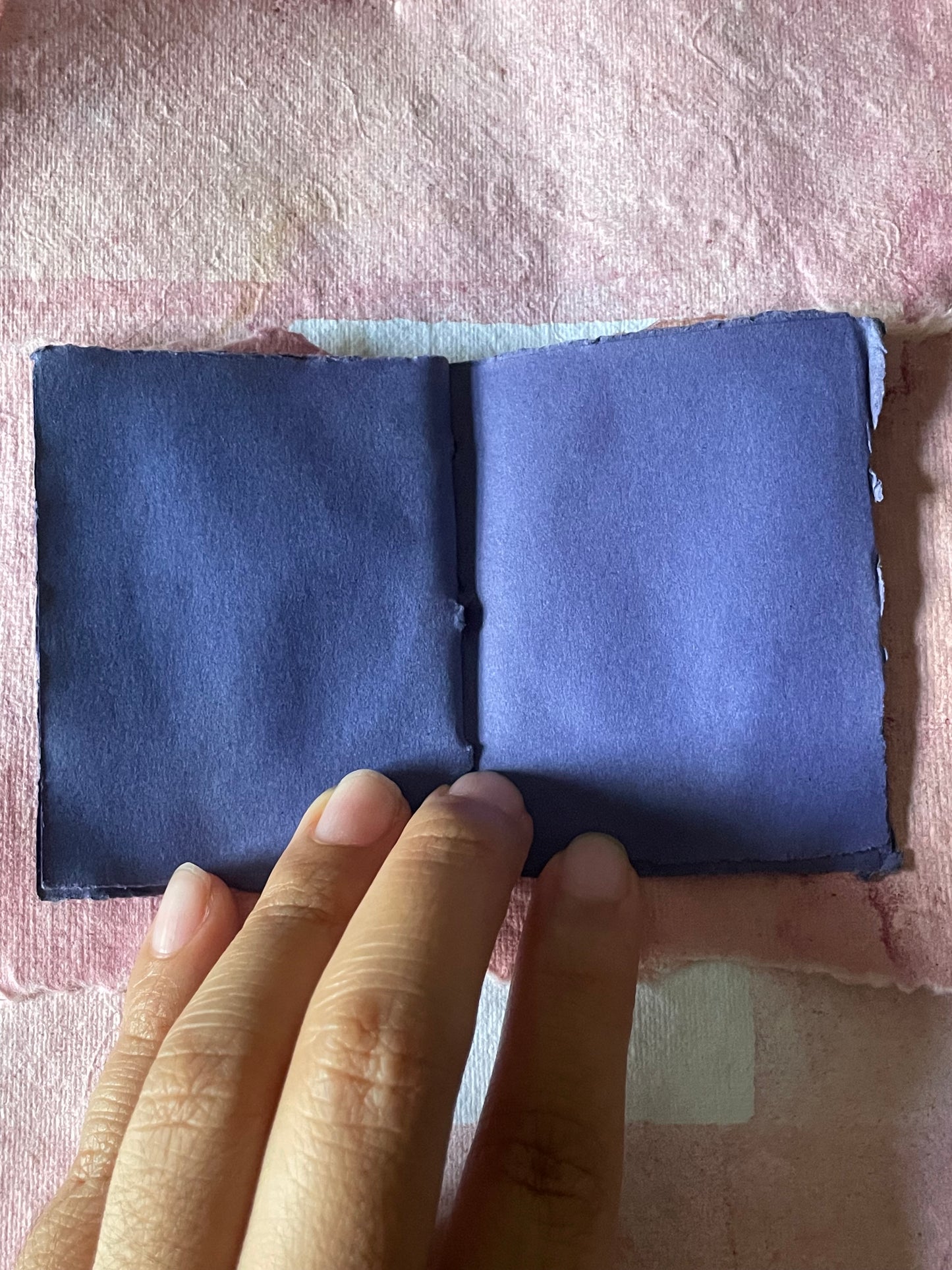 Handmade Botanically Dyed  Set of Mini Codex Journals