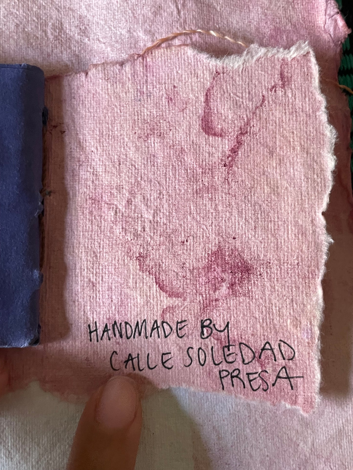 Handmade Botanically Dyed  Set of Mini Codex Journals