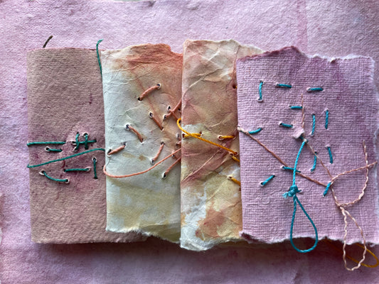 Handmade Botanically Dyed  Set of Mini Codex Journals
